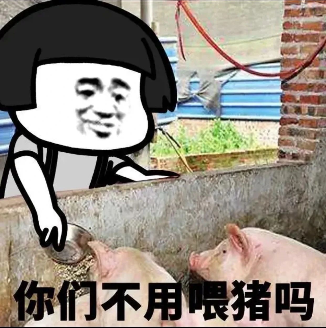 你们不用打工挣钱吗-6664