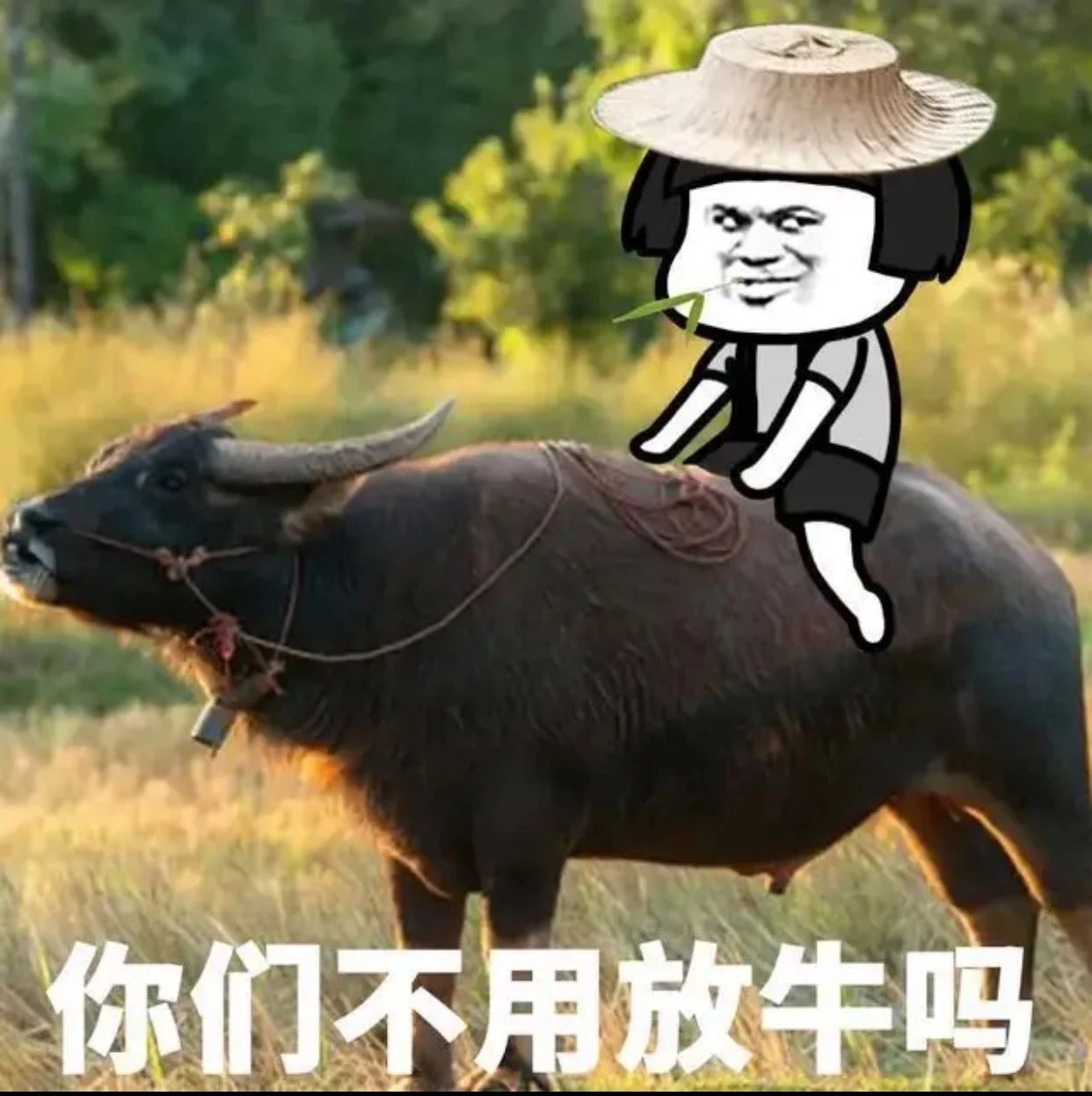 你们不用打工挣钱吗-6665