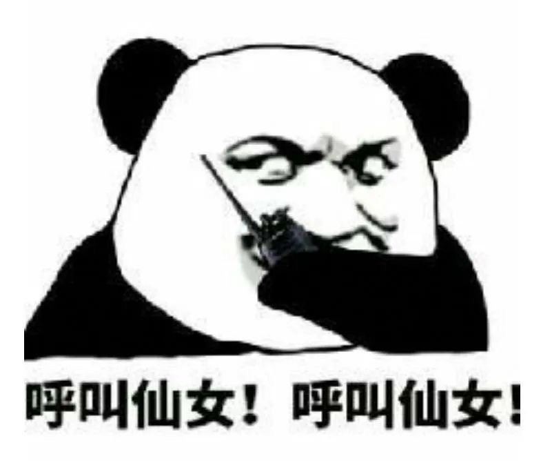 熊猫头-13618