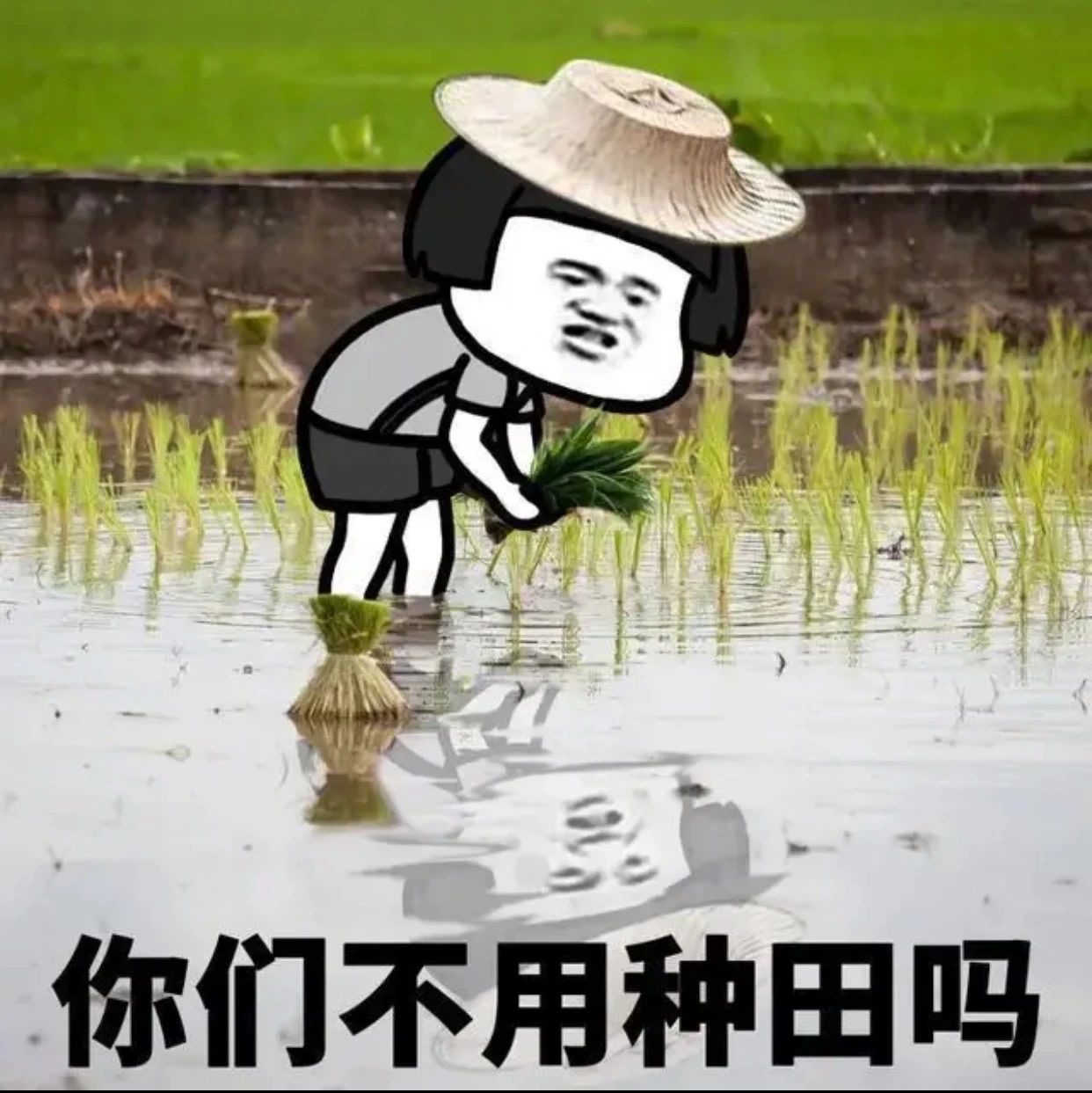 你们不用打工挣钱吗-6666