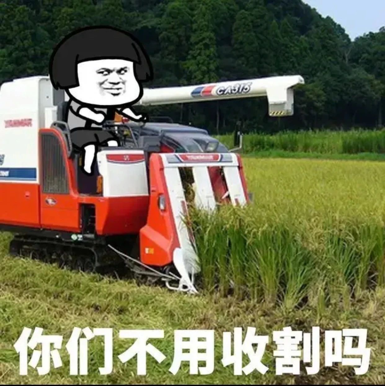 你们不用打工挣钱吗-6660