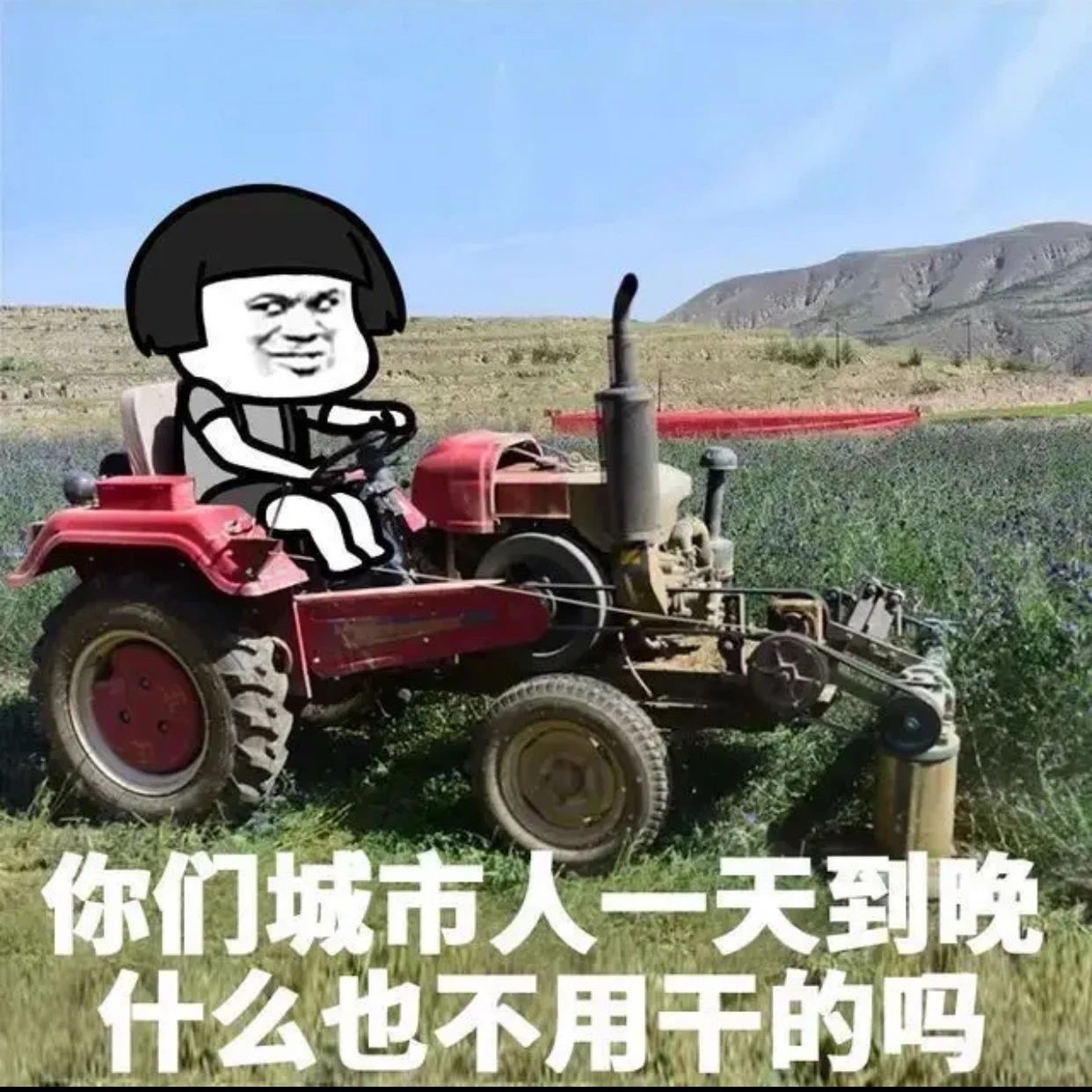 你们不用打工挣钱吗-6659