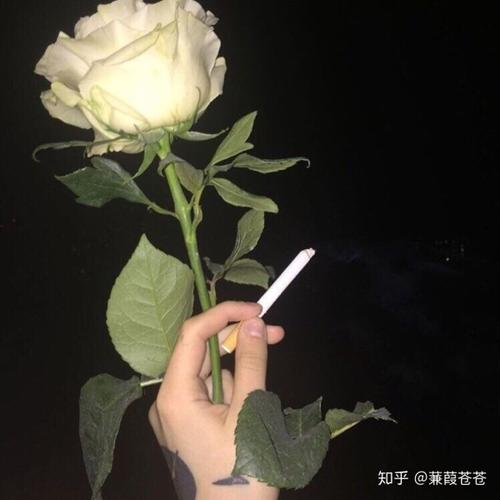 潮男-11202